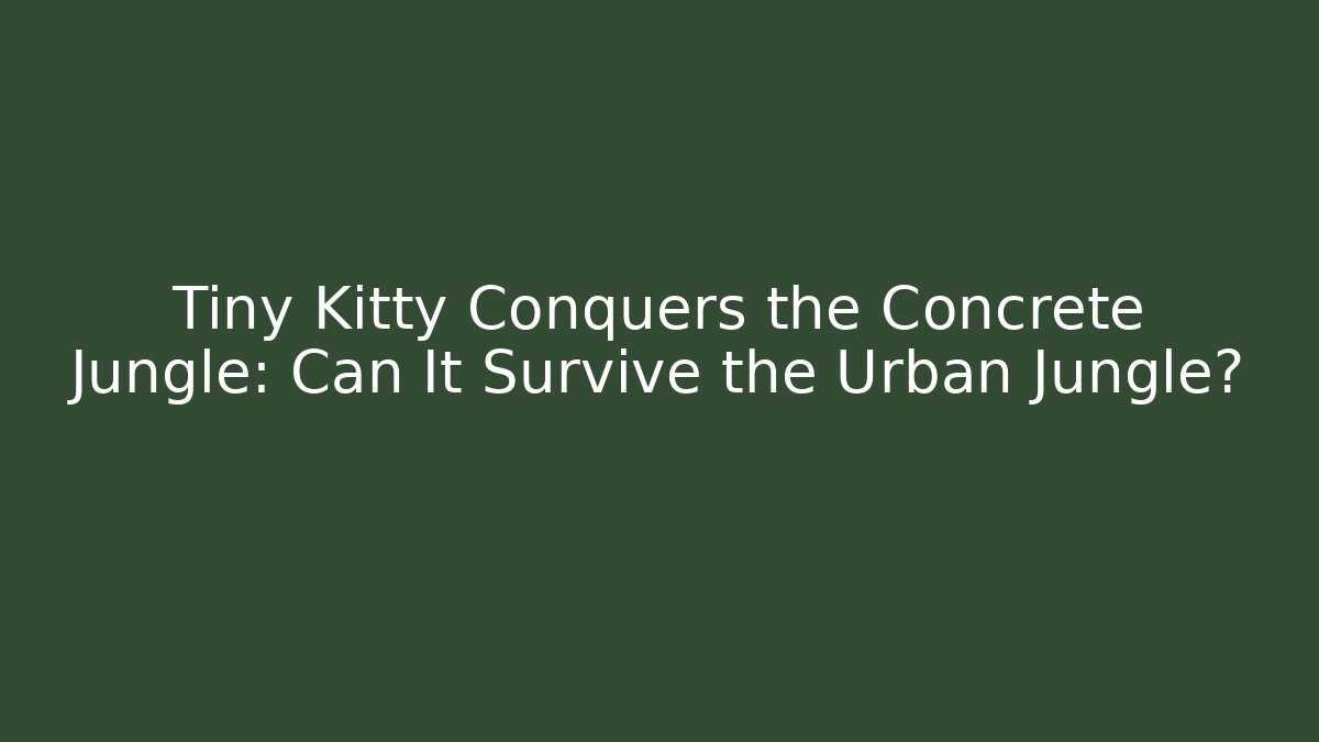 Tiny Kitty Conquers the Concrete Jungle: Can It Survive the Urban Jungle?