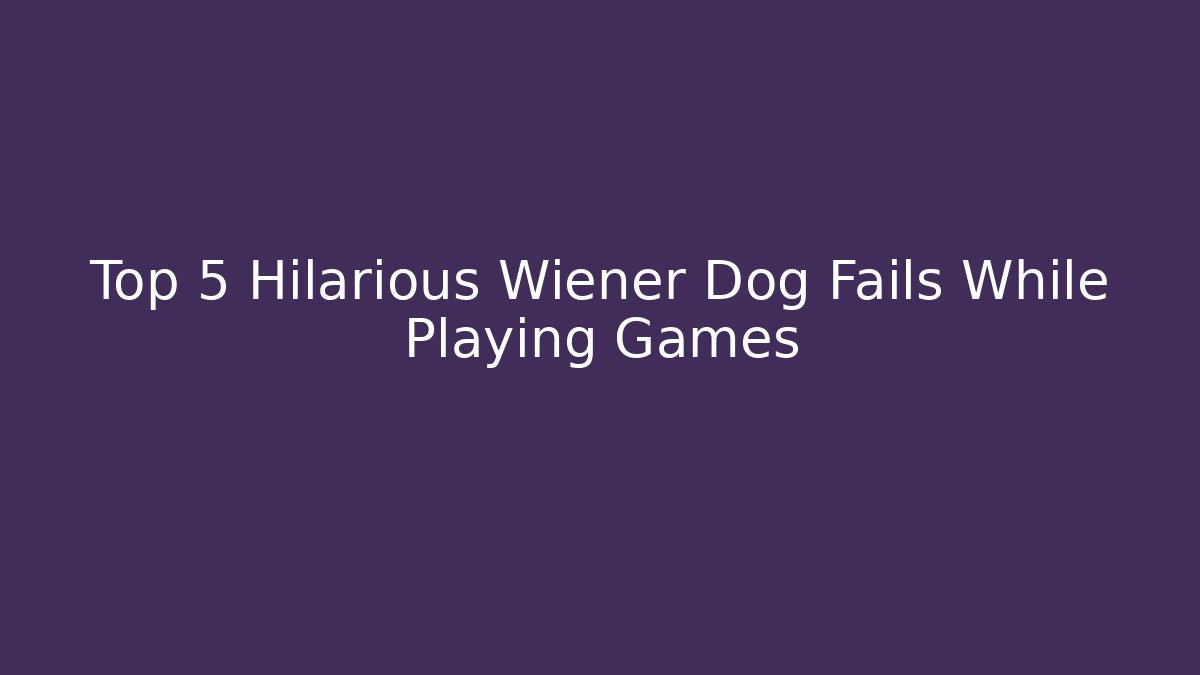 Top 5 Hilarious Wiener Dog Fails While Playing Games - Andrea Zevedo
