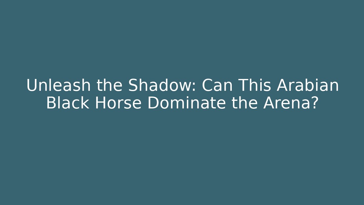 Unleash the Shadow: Can This Arabian Black Horse Dominate the Arena?