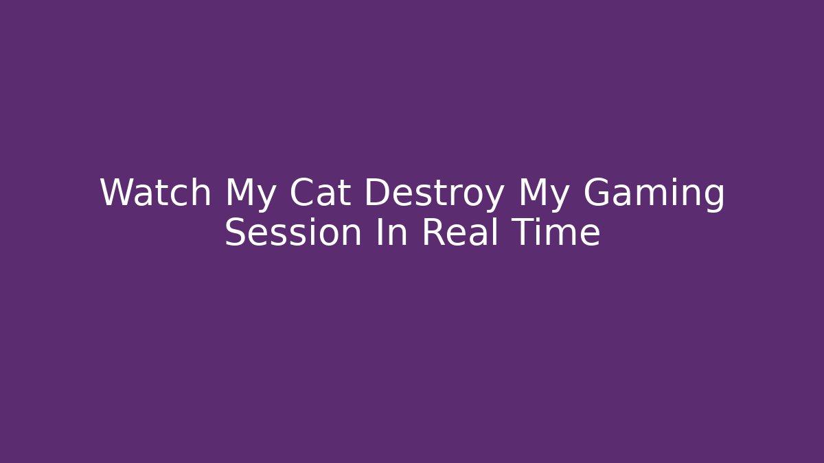 Watch My Cat Destroy My Gaming Session In Real Time