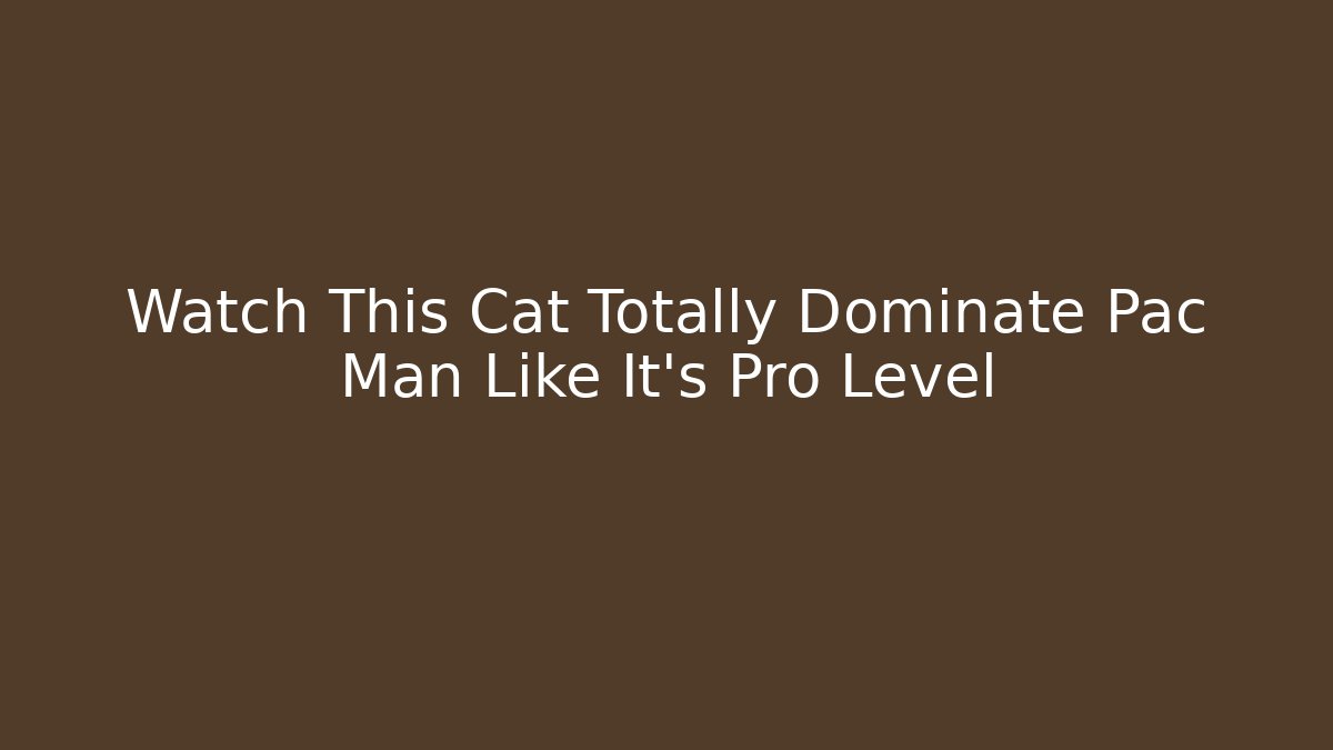 Watch This Cat Totally Dominate Pac Man Like It's Pro Level