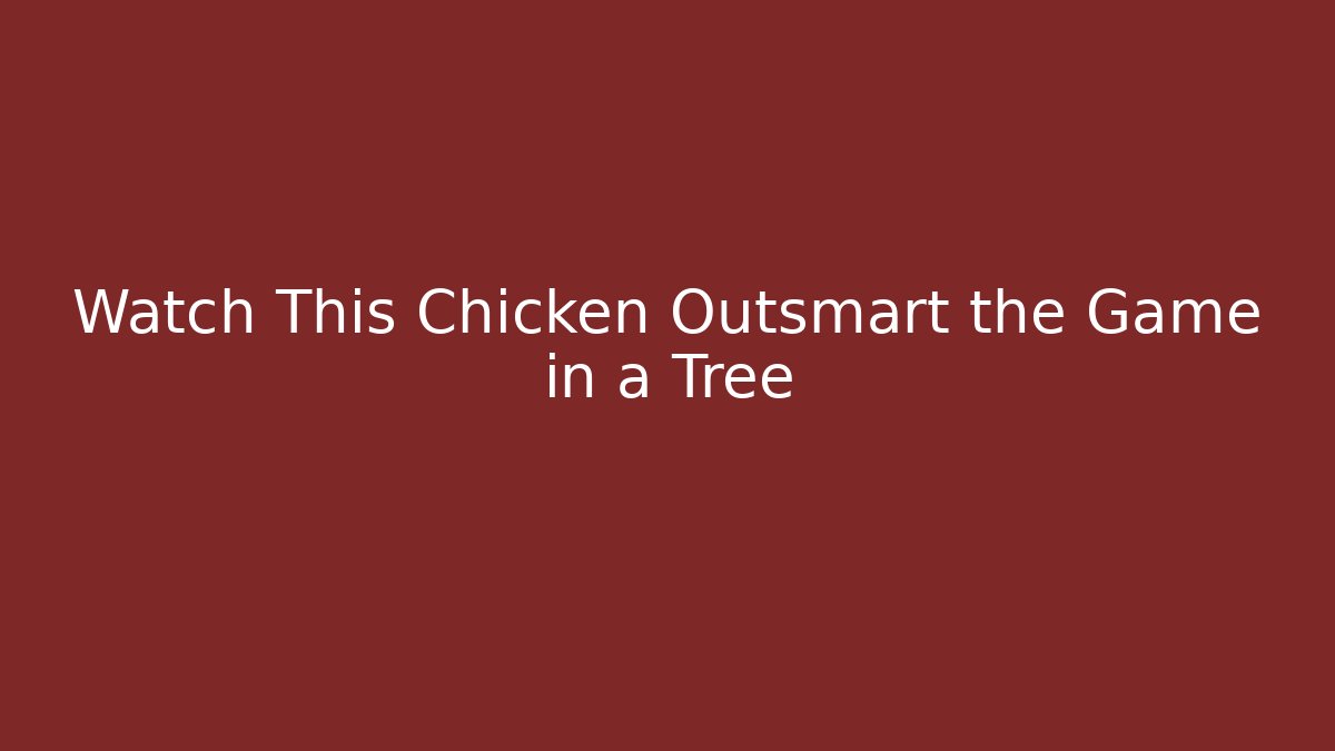 Watch This Chicken Outsmart the Game in a Tree