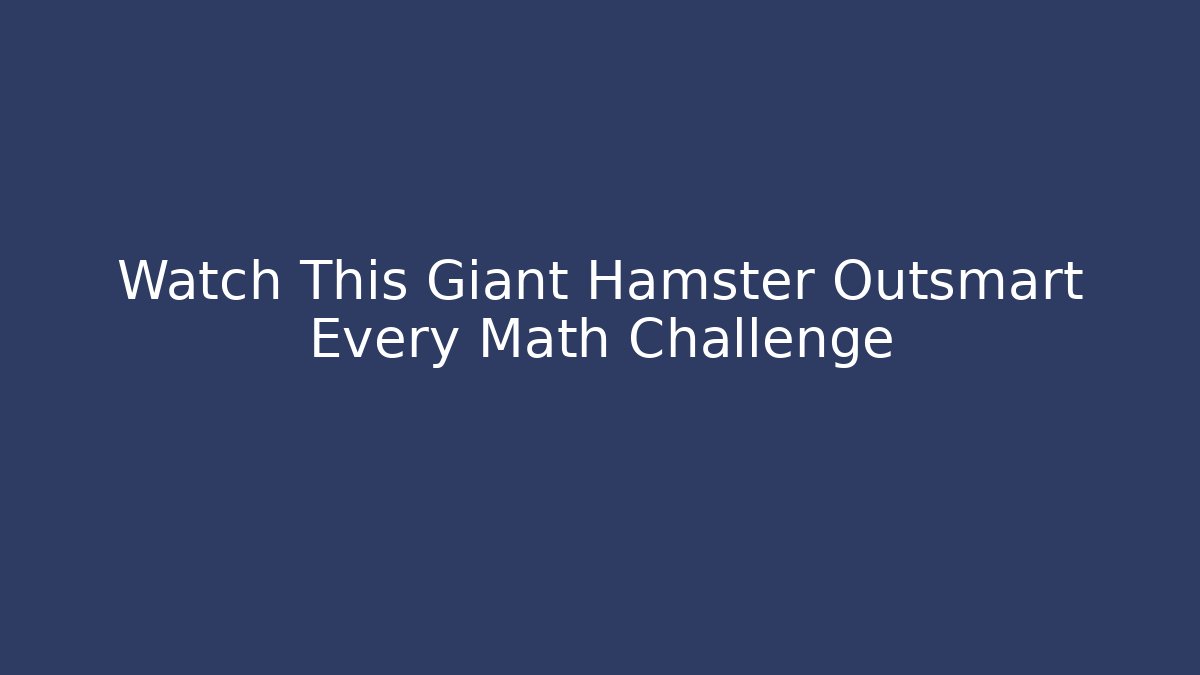 Watch This Giant Hamster Outsmart Every Math Challenge - Andrea Zevedo