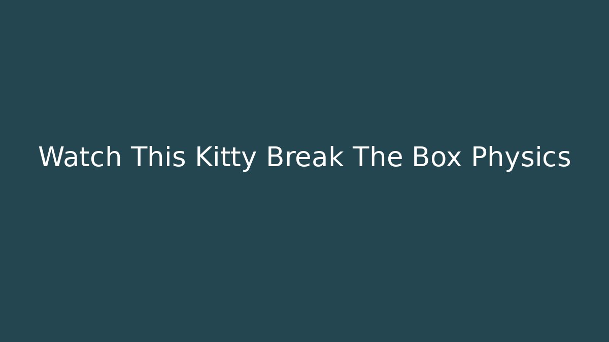 Watch This Kitty Break The Box Physics - Andrea Zevedo