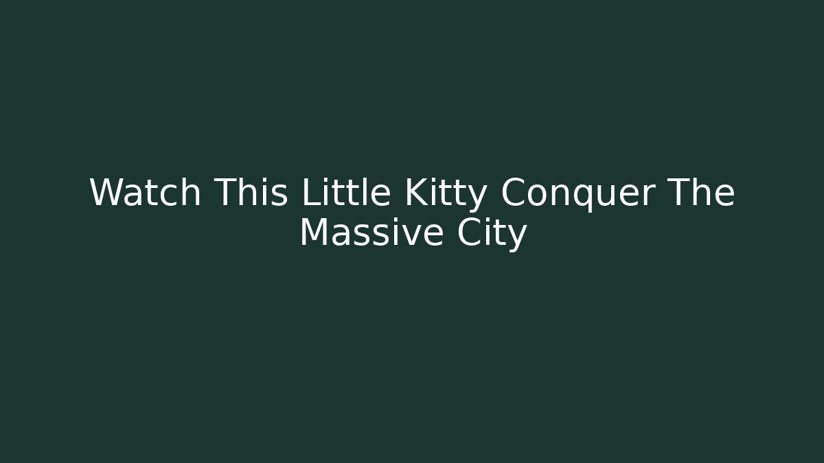Watch This Little Kitty Conquer The Massive City