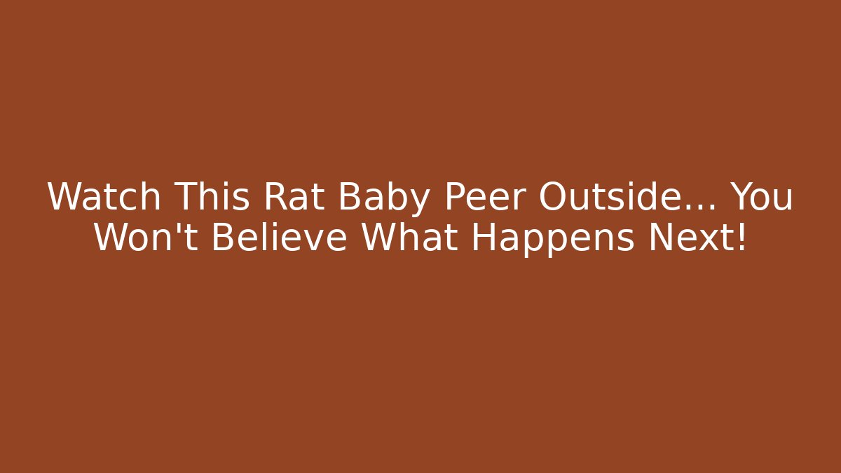Watch This Rat Baby Peer Outside… You Won’t Believe What Happens Next!