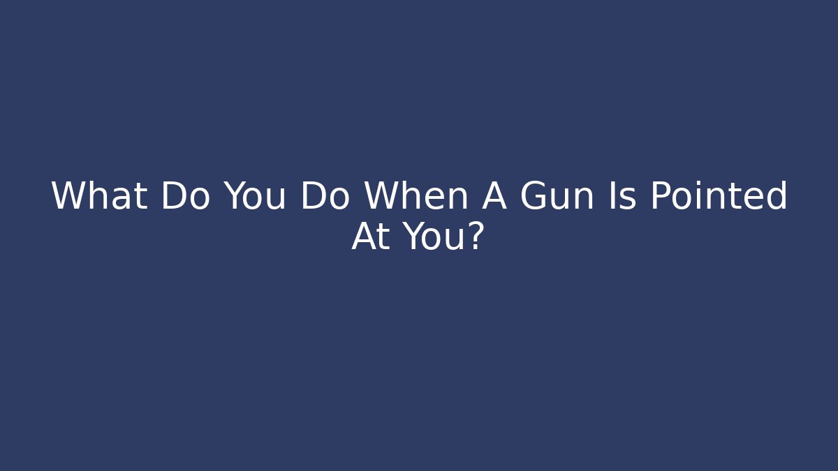 What Do You Do When A Gun Is Pointed At You?
