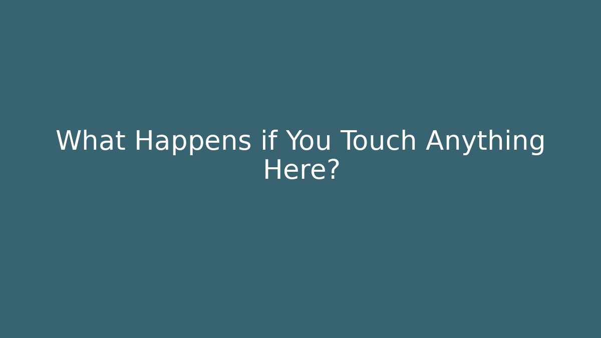What Happens if You Touch Anything Here?