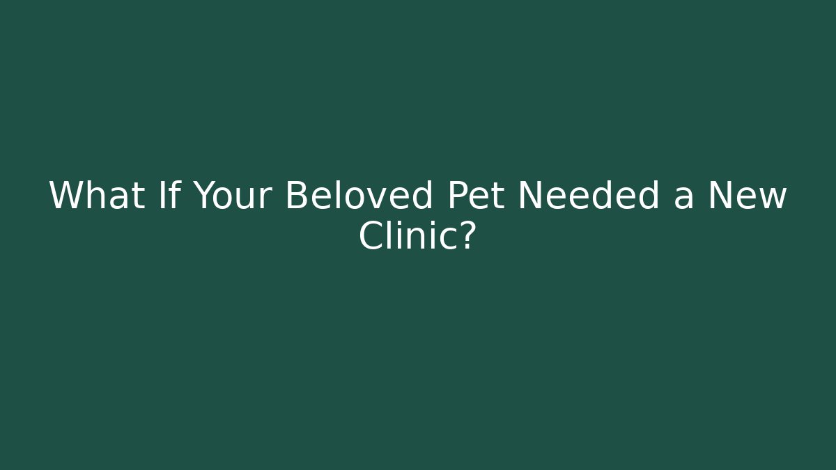 What If Your Beloved Pet Needed a New Clinic?
