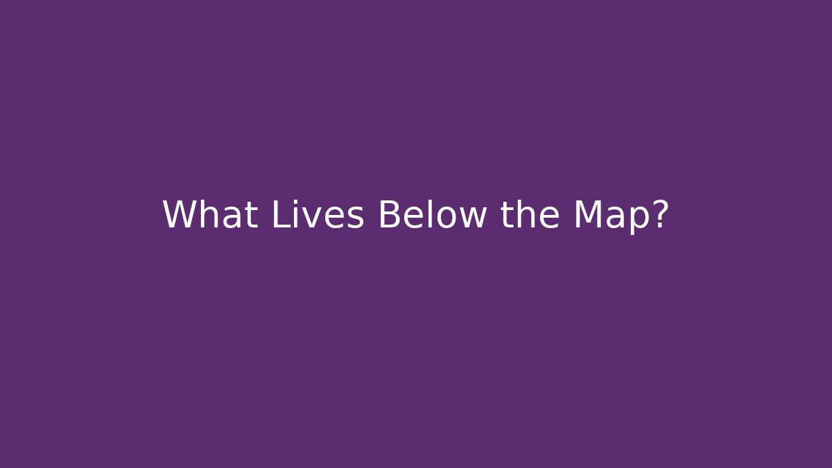 What Lives Below the Map? - Andrea Zevedo