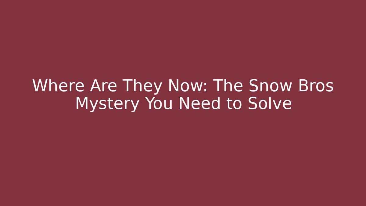 Where Are They Now: The Snow Bros Mystery You Need to Solve