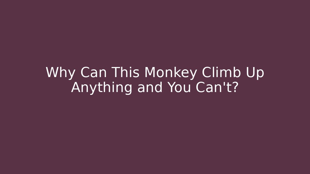 Why Can This Monkey Climb Up Anything and You Can't?