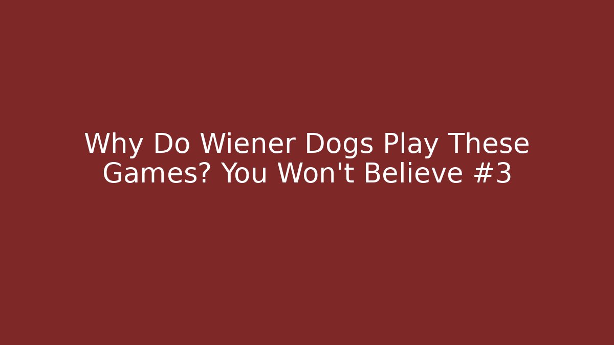 Why Do Wiener Dogs Play These Games? You Won’t Believe #3