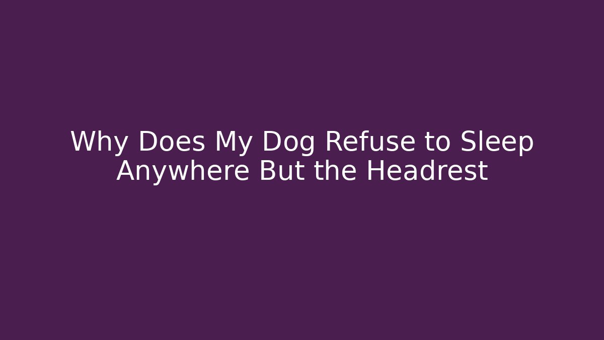 Why Does My Dog Refuse to Sleep Anywhere But the Headrest