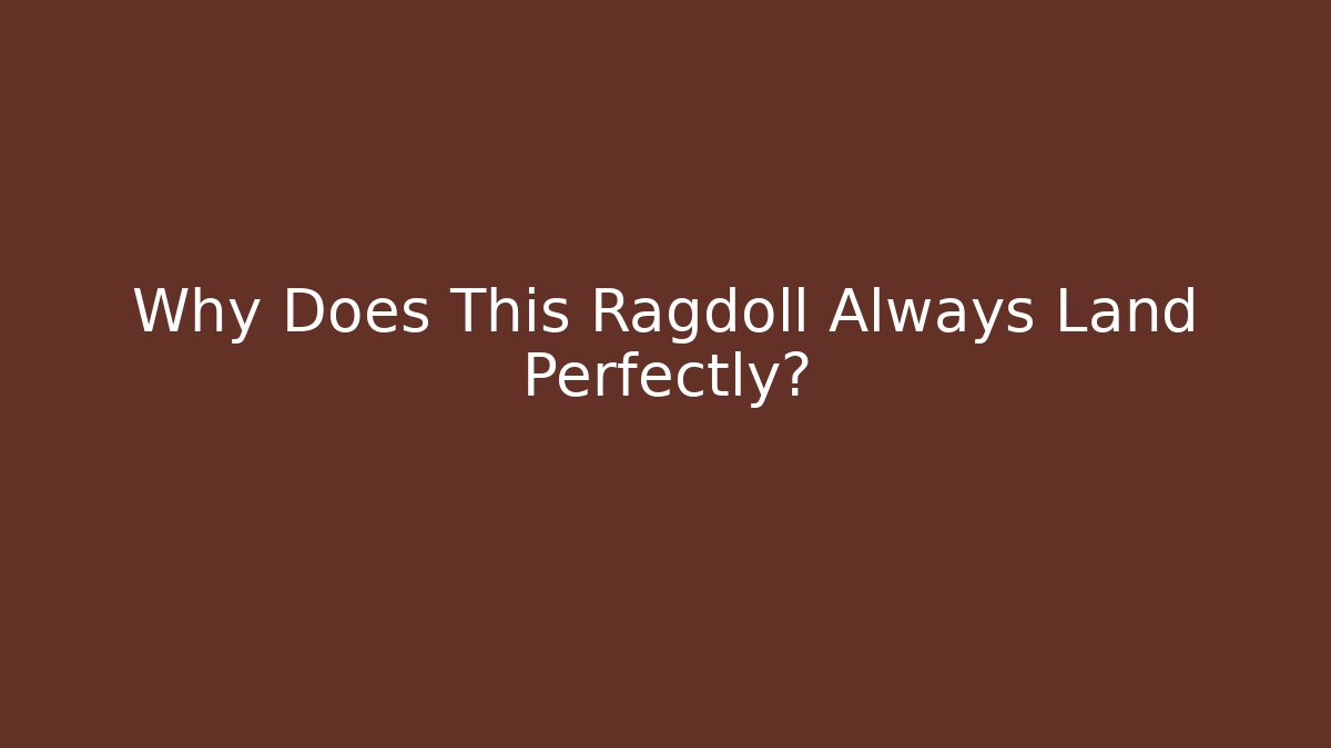 Why Does This Ragdoll Always Land Perfectly? - Andrea Zevedo