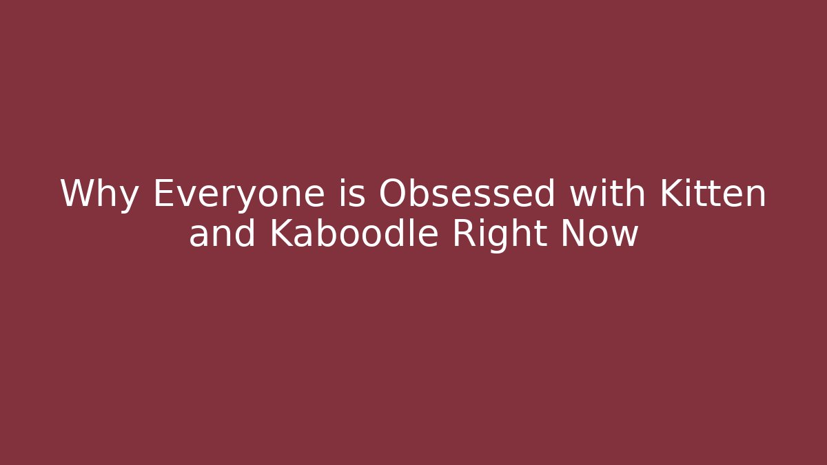 Why Everyone is Obsessed with Kitten and Kaboodle Right Now