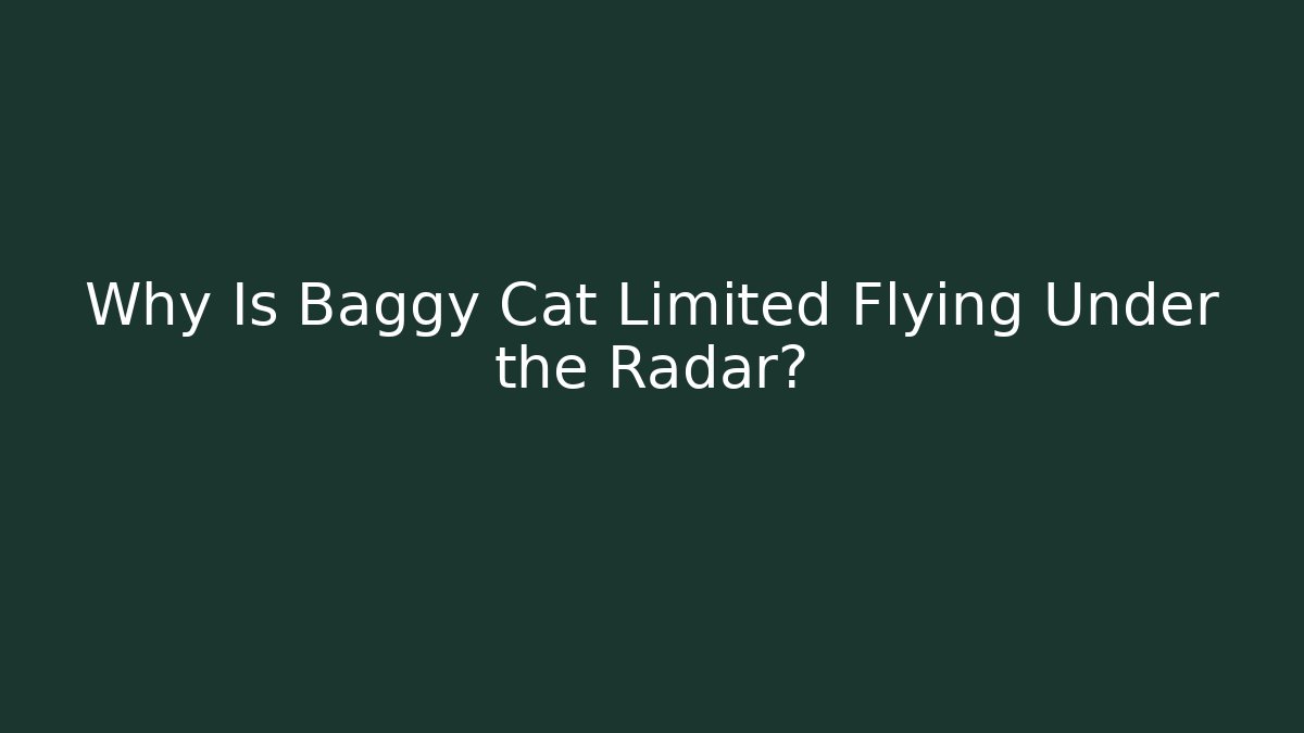 Why Is Baggy Cat Limited Flying Under the Radar?