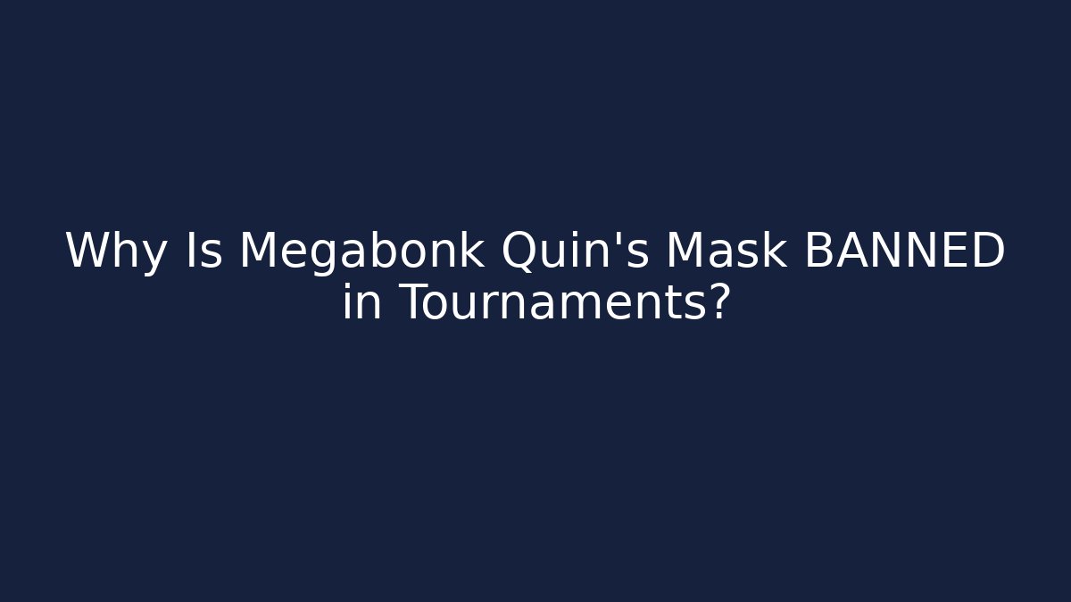 Why Is Megabonk Quin's Mask BANNED in Tournaments?