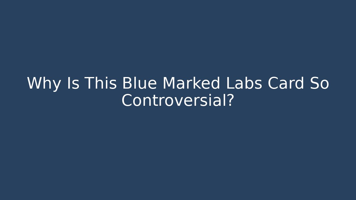 Why Is This Blue Marked Labs Card So Controversial?