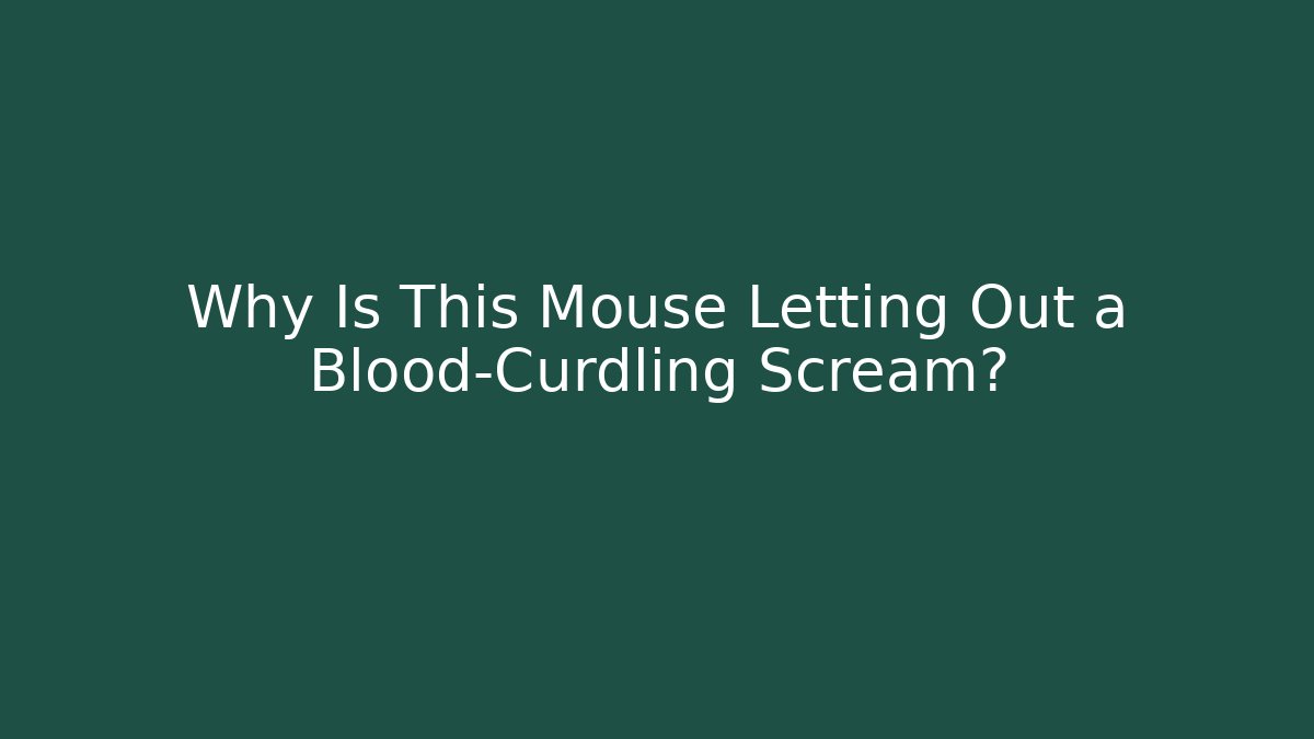 Why Is This Mouse Letting Out a Blood-Curdling Scream?