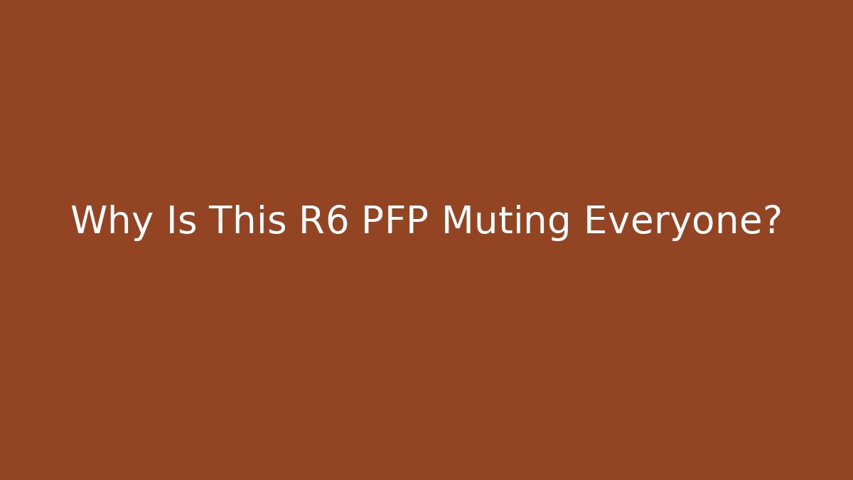 Why Is This R6 PFP Muting Everyone?