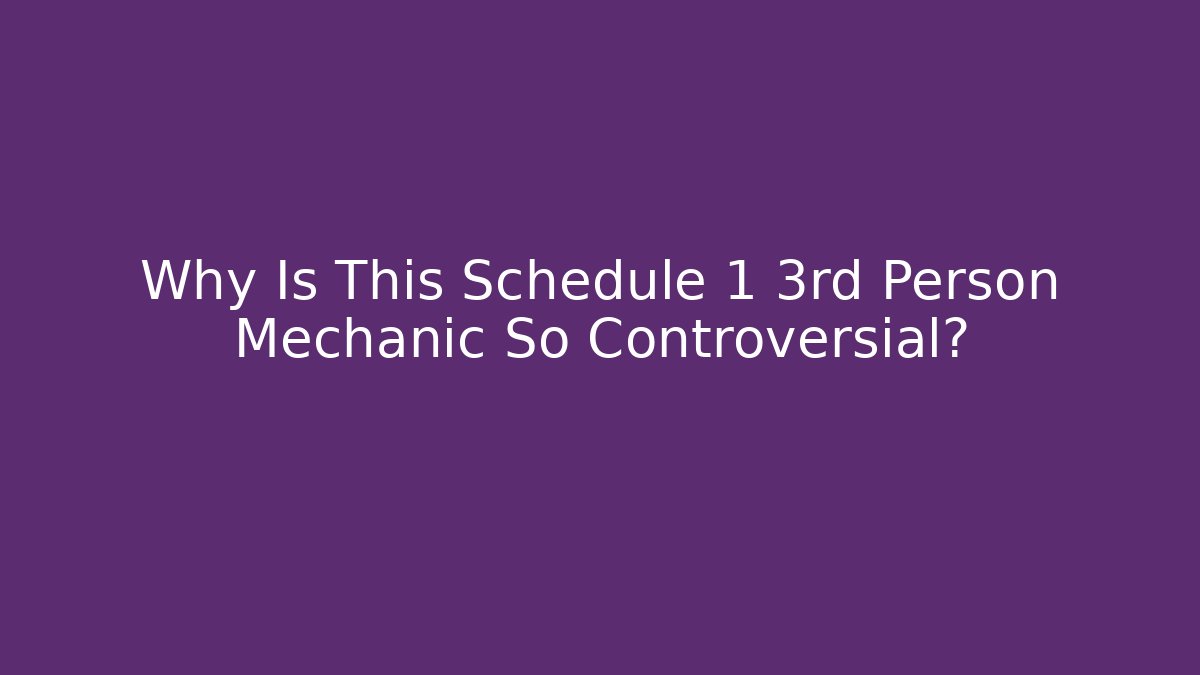 Why Is This Schedule 1 3rd Person Mechanic So Controversial?