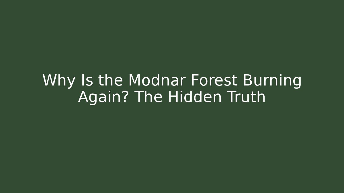 Why Is the Modnar Forest Burning Again? The Hidden Truth