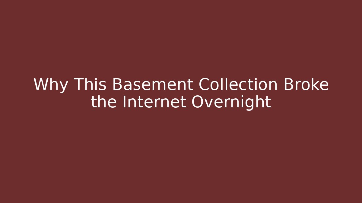 Why This Basement Collection Broke the Internet Overnight - Andrea Zevedo