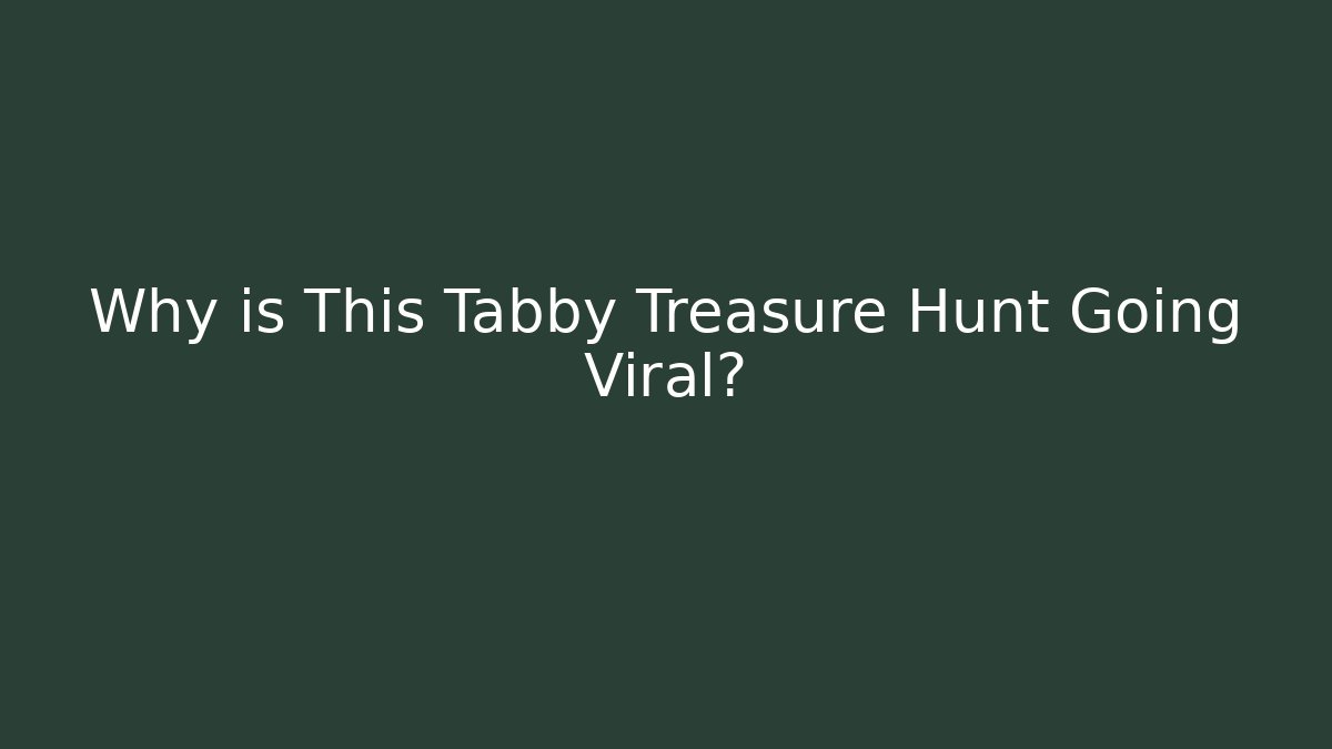 Why is This Tabby Treasure Hunt Going Viral?