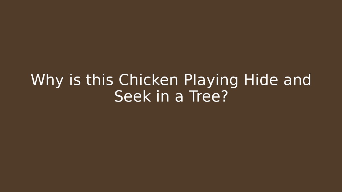 Why is this Chicken Playing Hide and Seek in a Tree?
