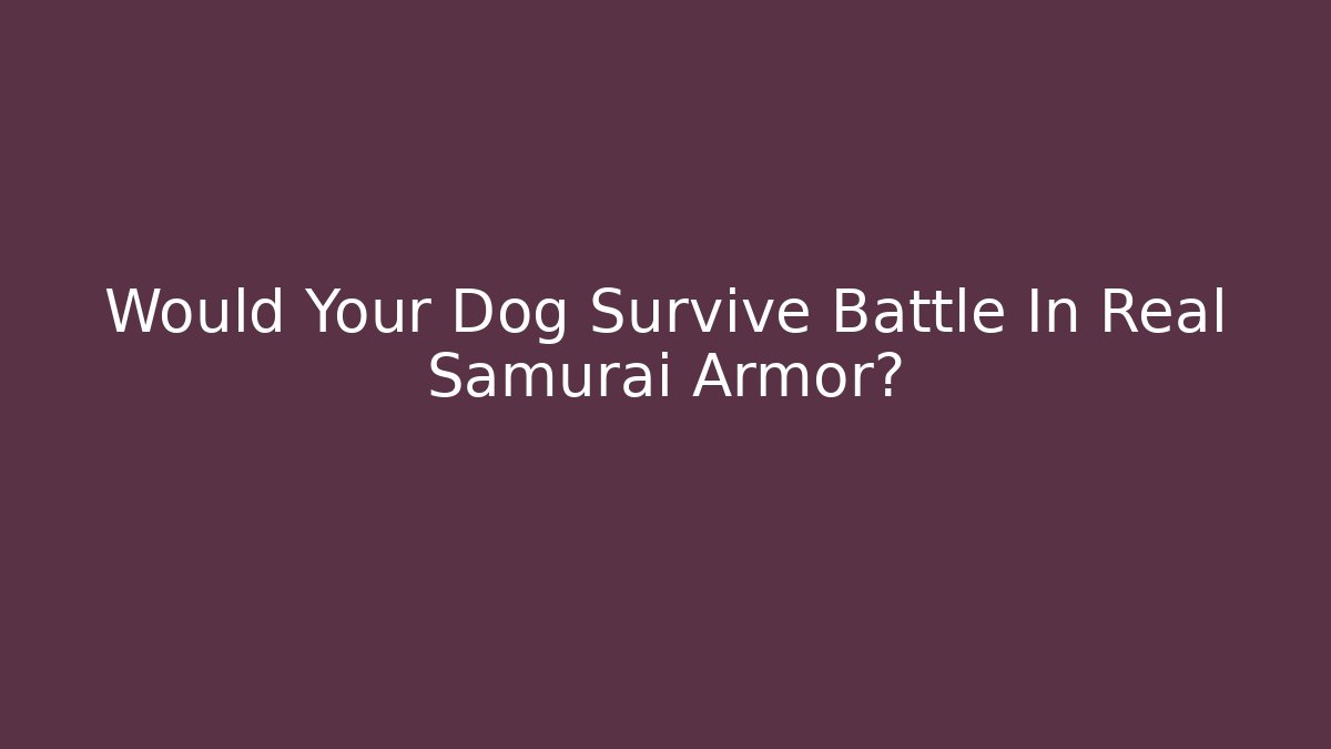 Would Your Dog Survive Battle In Real Samurai Armor?