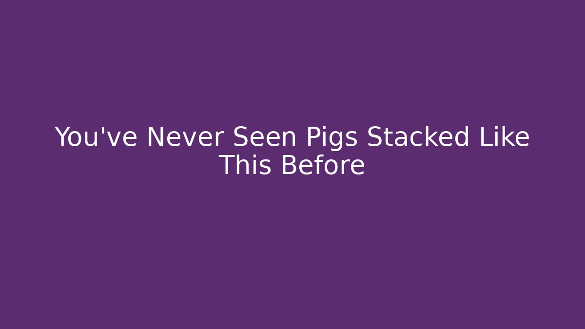 You’ve Never Seen Pigs Stacked Like This Before