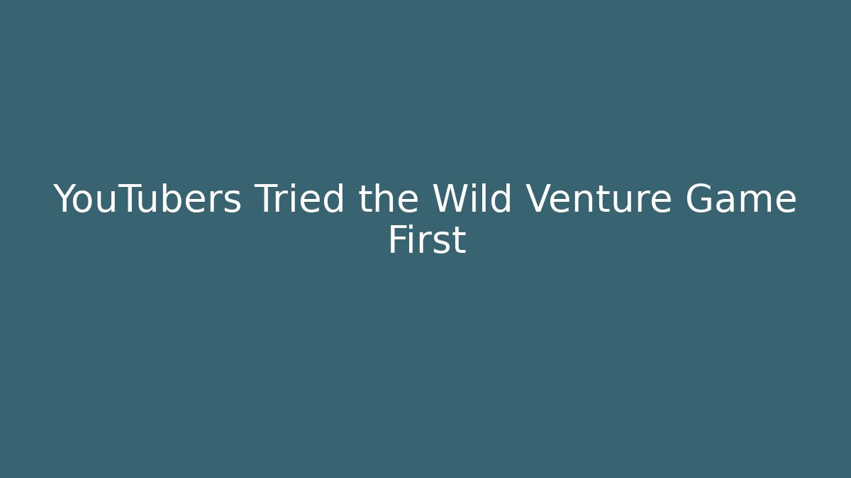 YouTubers Tried the Wild Venture Game First